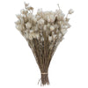Vickerman H1EVR920 Natural Botanicals 14" X 5" Everlasting Shiny White (Hammer) 60 Grams Per Unit