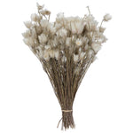 Vickerman H1EVR920 Natural Botanicals 14" X 5" Everlasting Shiny White (Hammer) 60 Grams Per Unit