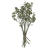 Vickerman H1EYP150 Natural Botanicals 12" X 1-3" Eucalyptus Clusters On Stem Green Frosted 16 Stems Per Unit