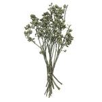 Vickerman H1EYP150 Natural Botanicals 12" X 1-3" Eucalyptus Clusters On Stem Green Frosted 16 Stems Per Unit