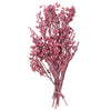 Vickerman H1EYP475 Natural Botanicals 12" X 1-3" Eucalyptus Clusters On Stem Red Frosted 16 Stems Per Unit