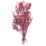 Vickerman H1EYP475 Natural Botanicals 12" X 1-3" Eucalyptus Clusters On Stem Red Frosted 16 Stems Per Unit