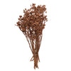 Vickerman H1EYP729 Natural Botanicals 12" X 1-3" Eucalyptus Clusters On Stem Orange Frosted 16 Stems Per Unit.