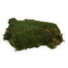 Vickerman H1MOU160 Bag Of Green Sheet Moss Preserved
