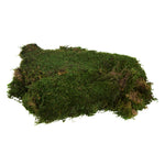 Vickerman H1MOU160 Bag Of Green Sheet Moss Preserved