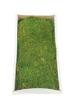 Vickerman H1MTR150 Tray Of Green Sheet Moss Preserved