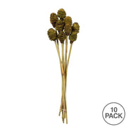 Vickerman H1PLC100 18-24