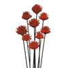 Vickerman H1PMH475 20" Red Plumosum Head Attached To A Brown Stem 9 Stems Dried