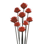 Vickerman H1PMH475 20" Red Plumosum Head Attached To A Brown Stem 9 Stems Dried
