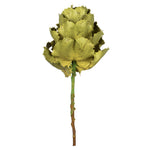 Vickerman H1QUE100 8" Flower Basil Queen Flower 1 Stem Dried