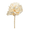 Vickerman H1QUM999 6" - 7" Queen Flower Medium Bleached For Receiving Only (Cp-30) Dried