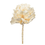 Vickerman H1QUM999 6" - 7" Queen Flower Medium Bleached For Receiving Only (Cp-30) Dried