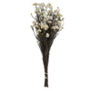 Vickerman H1RCF000 16" Natural White Rice Flower. Comes In A 4.25 Oz Bundle. Preserved