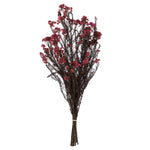 Vickerman H1RCF400 16-23" Pink Rice Flower. Comes In A 4.25 Oz Bundle. Preserved