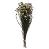 Vickerman H1RCF400-1 16" Pink Rice Flower.  Comes In An 8 Oz Bundle. Preserved