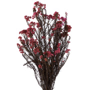 Vickerman H1RCF400 16-23