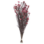 Vickerman H1RCF450 16" Wild Berry Rice Flower . Comes In A 4.25 Oz Bundle. Preserved