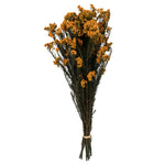 Vickerman H1RCF700 16" Yellow Rice Flower. Comes In A 4.25 Oz Bundle. Preserved