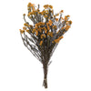 Vickerman H1RCF750 16" Autumn Rice Flower. Comes In A 4.25 Oz Bundle. Preserved