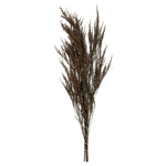 Vickerman H1REE150 36-40" Green Reed Grass -Includes 8-9 Oz Per Bundle. Preserved