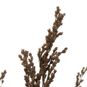 Vickerman H1REE150 36-40