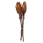 Vickerman H1REP800 8-12” Mocha Latte Repens - Natural Stem -Bulk Case 180 Pieces Dried