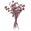 Vickerman H1RGM475 Natural Botanicals 13" X 1-3" Red Gum Branch Red Frosted 14 Stems Per Unit