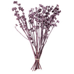 Vickerman H1RGM575 Natural Botanicals 13" X 1-3" Red Gum Branch Brombeer Frosted 14 Stems Per Unit