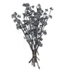 Vickerman H1RGM800 Natural Botanicals 13" X 1-3" Red Gum Branch Gray Frosted 14 Stems Per Unit