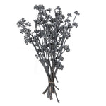 Vickerman H1RGM800 Natural Botanicals 13" X 1-3" Red Gum Branch Gray Frosted 14 Stems Per Unit