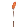 Vickerman H1RNS775 14" Nectarine Repens On A Natural Stem.  Includes 6 Stems Per Bunch Dried