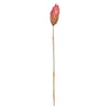 Vickerman H1RRS400-2 18-24” Erica Pink Repens Head Attached To A Reed Stem. Includes 20 Stems Comes Dried.