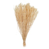 Vickerman H1SAA999 Natural Botanicals  Staavia Bleached 100 Grams Per Unit