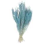 Vickerman H1STB505 14-18" Baby Blue Stoebe Bundle.  Comes 3.5 Oz Per Bundle.