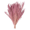 Vickerman H1STB715 14-18" Coral Stoebe Bundle.  Comes 3.5 Oz Per Bundle.