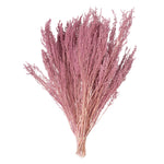 Vickerman H1STB715 14-18" Coral Stoebe Bundle.  Comes 3.5 Oz Per Bundle.
