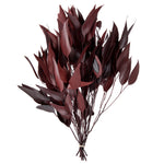 Vickerman H1WIL475 18" Red Weeping Willow Eucalyptus Foliage 5 Oz Bundle Preserved