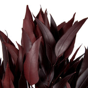 Vickerman H1WIL475 18