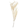 Vickerman H2AND999 26" Bleached Fern - Andares 4 Oz Per Pack Dried