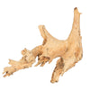 Vickerman H2AZS999 9-12" Bleached Roots - Amazonian Small 1 Piece Dried