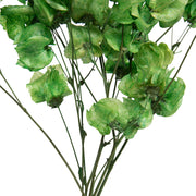 Vickerman H2CAR150 13.5-17