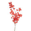 Vickerman H2CAR475 13.5-17" Red Dried Cara Blossom Bundle Preserved.