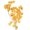 Vickerman H2CAR725 13.5-17" Aspen Gold Dried Cara Blossom Bundle Preserved.