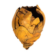 Vickerman H2CCPB725 2-3