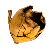 Vickerman H2CCPB725 2-3