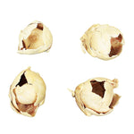 Vickerman H2CCPB999 2-3" Bleached Cacho Pod Bulk Bulk Case 60 Per Box Dried