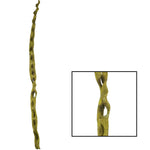 Vickerman H2CIP100-2 36-40" Cipo Escada Basil Pack Of 2 Dried
