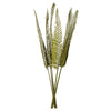 Vickerman H2CPD100 38-48" Basil Coco Palm - Designer Cut 6 Stems Dried