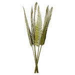 Vickerman H2CPD100 38-48" Basil Coco Palm - Designer Cut 6 Stems Dried