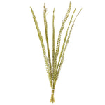 Vickerman H2CPS100 36-38" Basil Coco Palm  Thin Spine Basil 6 Stem Bu (Cpd-10) Dried